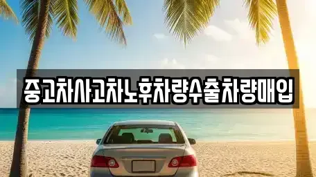 경기도 하남시 초이동 중고차 전문 중고차사고차노후차량수출차량매입