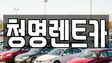 경기도 화성시 배양동 렌트카 전문 청명렌트카