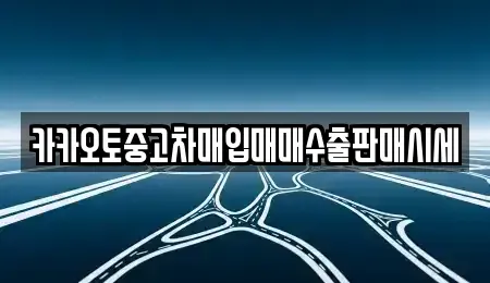 경기도 화성시 배양동 중고차매입 전문 카카오토중고차매입매매수출판매시세