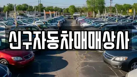 경남 김해시 삼계동 중고차매매 전문 신구자동차매매상사