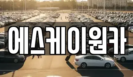 경남 김해시 지내동 중고차 전문 에스케이원카