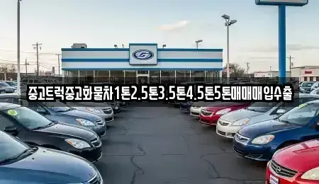 경남 사천시 사등동 중고차 전문 중고트럭중고화물차1톤2.5톤3.5톤4.5톤5톤매매매입수출