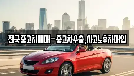 경남 사천시 실안동 중고차매입 전문 전국중고차매매-중고차수출,사고노후차매입