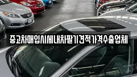 경남 양산시 산막동 중고차매입 전문 중고차매입시세내차팔기견적가격수출업체