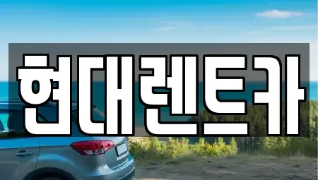 경남 양산시 주남동 렌트카 전문 현대렌트카