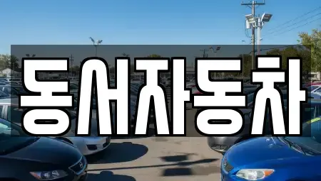 경남 진주시 봉곡동 중고차 전문 동서자동차