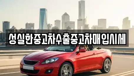 경남 진주시 봉곡동 중고차 전문 성실한중고차수출중고차매입시세