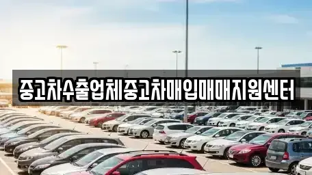 경남 진주시 봉곡동 중고차매입 전문 중고차수출업체중고차매입매매지원센터