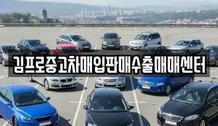 경남 창녕군 고암면 중고차 전문 김프로중고차매입판매수출매매센터