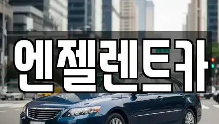 경남 창원시 마산합포구 성호동 렌트카 전문 엔젤렌트카