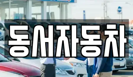 경남 창원시 마산합포구 성호동 중고차 전문 동서자동차