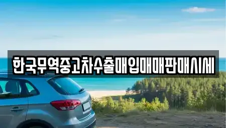 경남 창원시 마산합포구 성호동 중고차 전문 한국무역중고차수출매입매매판매시세