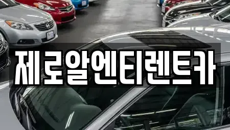 경남 창원시 마산회원구 석전동 렌트카 전문 제로알엔티렌트카