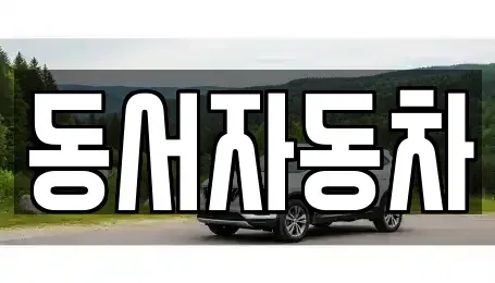 경남 창원시 의창구 북동 중고차 전문 동서자동차