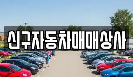 경남 창원시 의창구 북동 중고차 전문 신구자동차매매상사