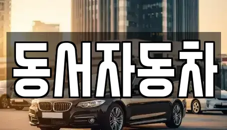 경남 창원시 의창구 북면 중고차매매 전문 동서자동차