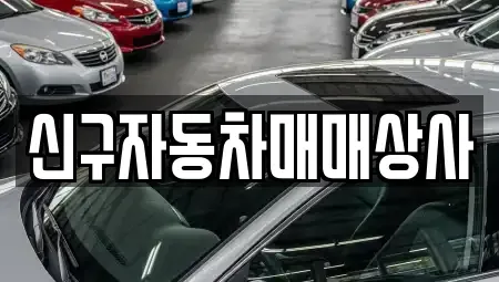 경남 창원시 의창구 북면 중고차매매 전문 신구자동차매매상사