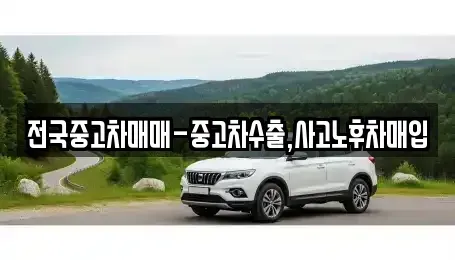 경남 창원시 진해구 남빈동 중고차매입 전문 전국중고차매매-중고차수출,사고노후차매입