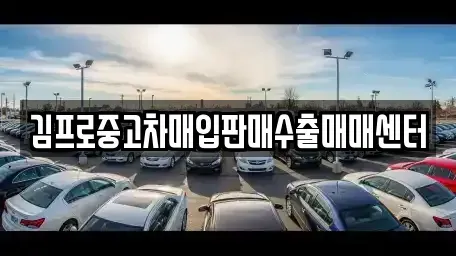 경남 창원시 진해구 수송동 중고차 전문 김프로중고차매입판매수출매매센터