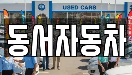 경남 창원시 진해구 수송동 중고차 전문 동서자동차