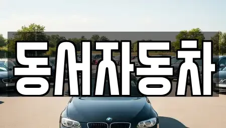 경남 함안군 대산면 중고차 전문 동서자동차