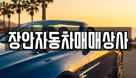 경북 경주시 구황동 중고차 전문 장안자동차매매상사
