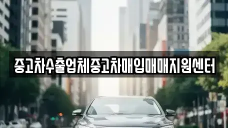 경북 경주시 동천동 중고차매입 전문 중고차수출업체중고차매입매매지원센터