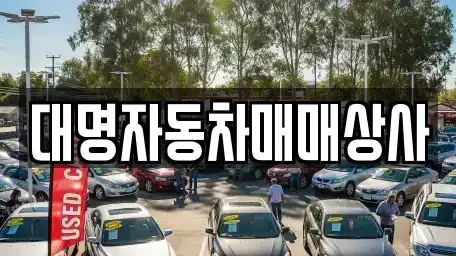 경북 경주시 충효동 중고차 전문 대명자동차매매상사