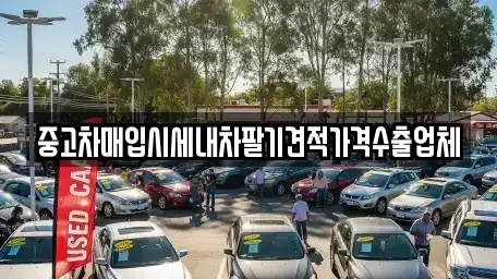 경북 경주시 충효동 중고차매입 전문 중고차매입시세내차팔기견적가격수출업체