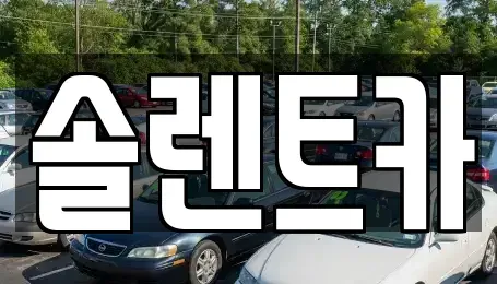 경북 고령군 우곡면 렌트카 전문 솔렌트카