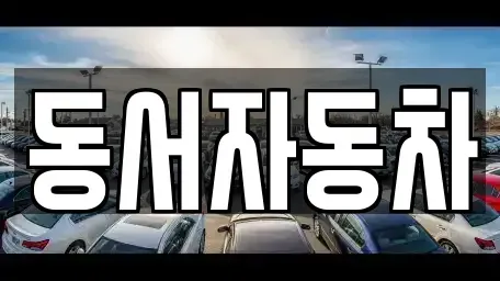 경북 김천시 문당동 중고차 전문 동서자동차