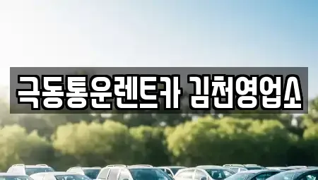 경북 김천시 아포읍 렌트카 전문 극동통운렌트카 김천영업소