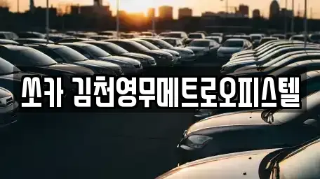 경북 김천시 아포읍 렌트카 전문 쏘카 김천영무메트로오피스텔