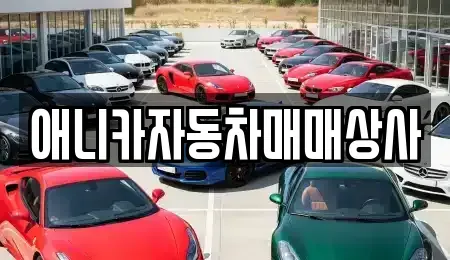 경북 김천시 아포읍 중고차 전문 애니카자동차매매상사