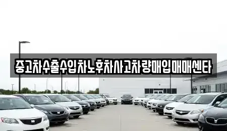 경북 성주군 월항면 중고차매입 전문 중고차수출수입차노후차사고차량매입매매센타