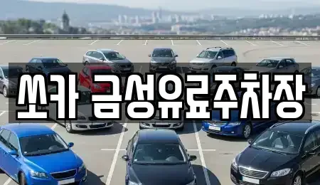 경북 안동시 삼산동 렌트카 전문 쏘카 금성유료주차장
