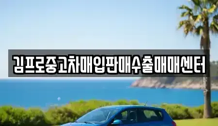 경북 안동시 삼산동 중고차매입 전문 김프로중고차매입판매수출매매센터