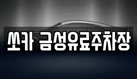 경북 안동시 신세동 렌트카 전문 쏘카 금성유료주차장
