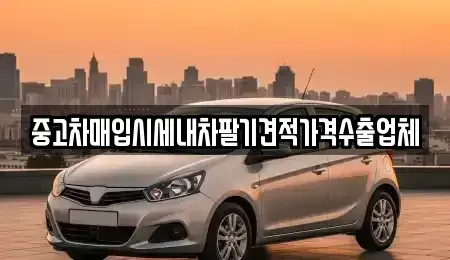 경북 안동시 신세동 중고차 전문 중고차매입시세내차팔기견적가격수출업체