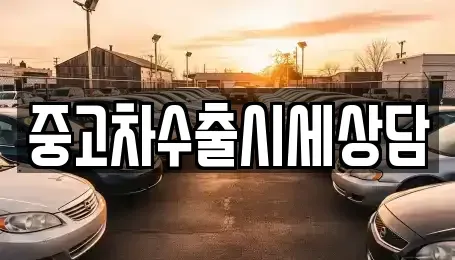 경북 안동시 신세동 중고차 전문 중고차수출시세상담