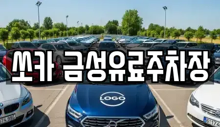경북 안동시 신안동 렌트카 전문 쏘카 금성유료주차장