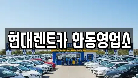 경북 안동시 신안동 렌트카 전문 현대렌트카 안동영업소
