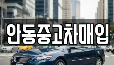 경북 안동시 신안동 중고차매매 전문 안동중고차매입
