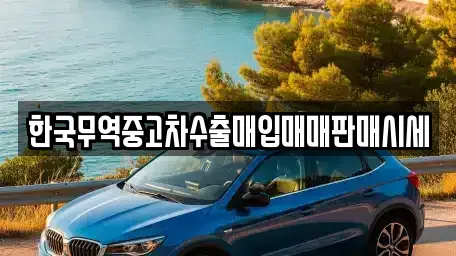 경북 영양군 석보면 중고차 전문 한국무역중고차수출매입매매판매시세
