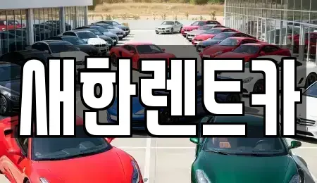 경북 영천시 과전동 렌트카 전문 새한렌트카
