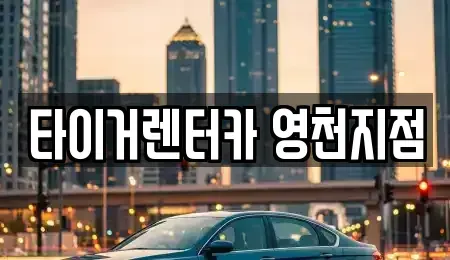 경북 영천시 과전동 렌트카 전문 타이거렌터카 영천지점