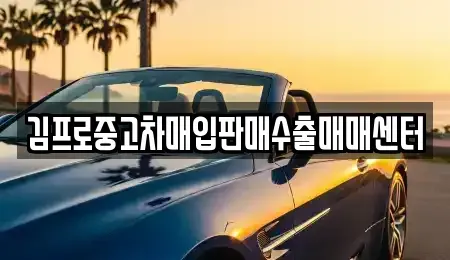 경북 영천시 과전동 중고차매입 전문 김프로중고차매입판매수출매매센터