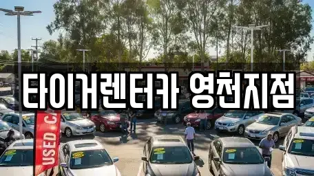 경북 영천시 금호읍 렌트카 전문 타이거렌터카 영천지점