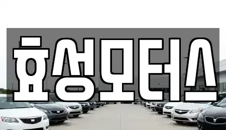 경북 영천시 금호읍 중고차매매 전문 효성모터스
