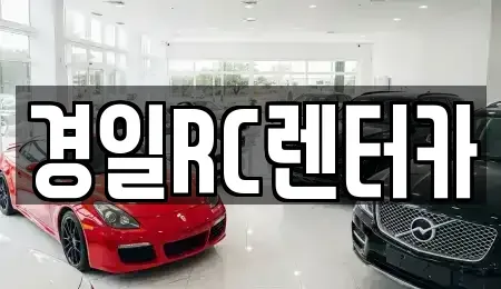 경북 영천시 도동 렌트카 전문 경일RC렌터카